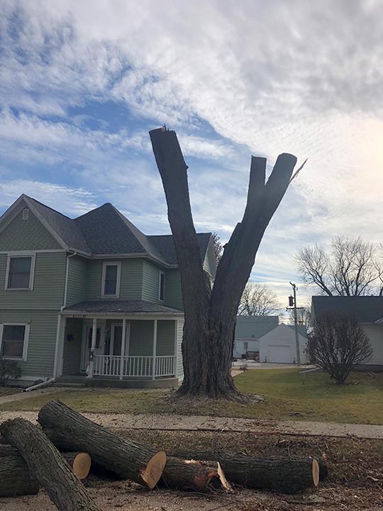 Cut Rite Tree Service Fulton, IL