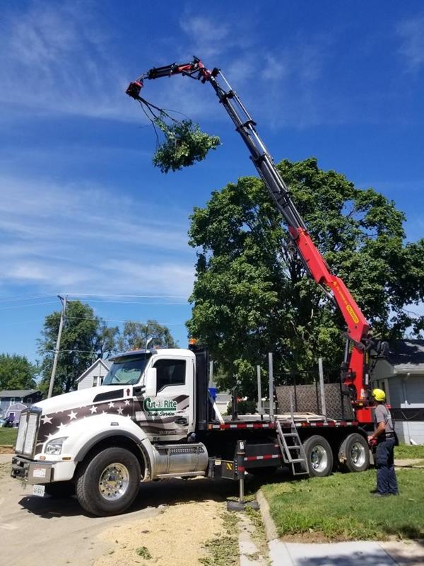 Cut Rite Tree Service Fulton, IL