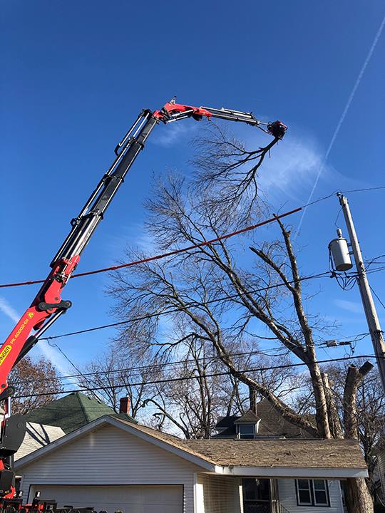 Cut Rite Tree Service Fulton, IL