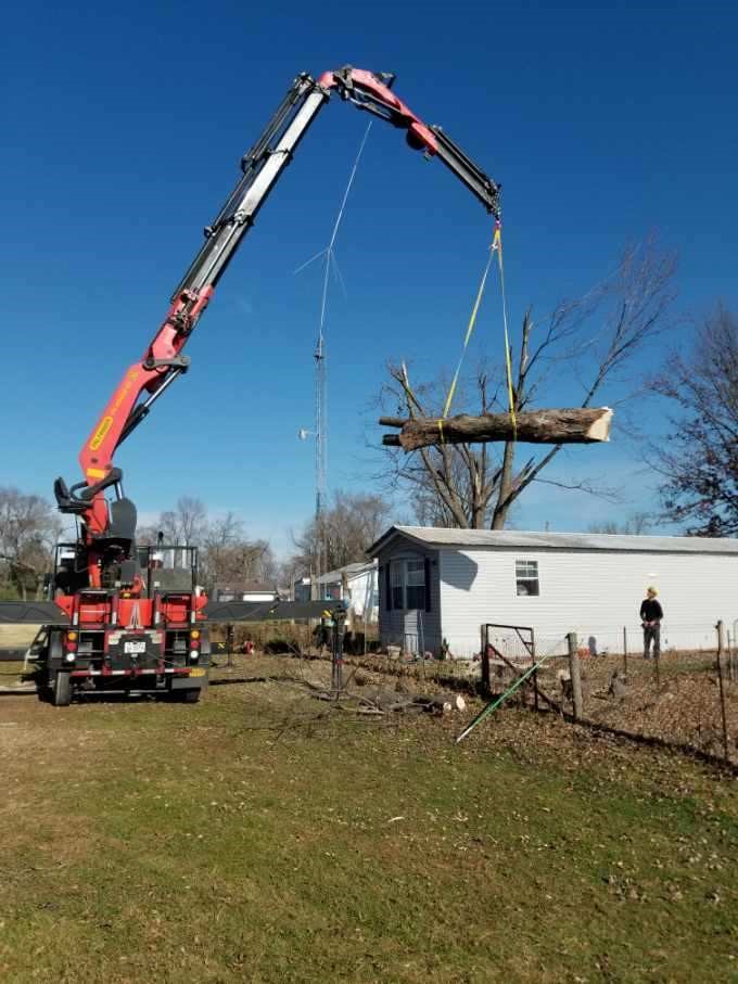 Cut Rite Tree Service Fulton, IL