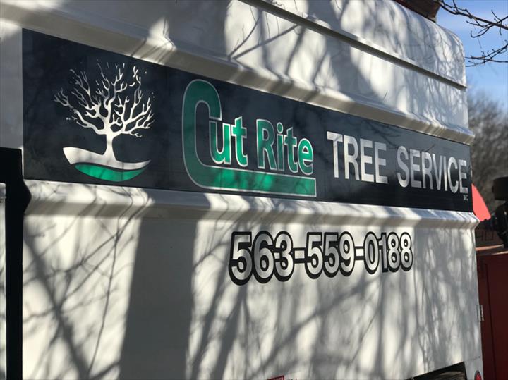 Cut Rite Tree Service Fulton, IL