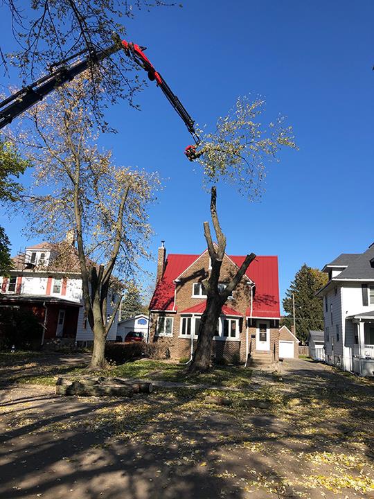Cut Rite Tree Service Fulton, IL