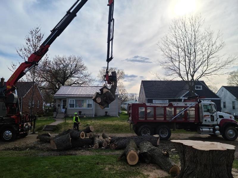 Cut Rite Tree Service Fulton, IL